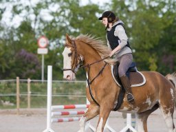 IMG-0695_web
